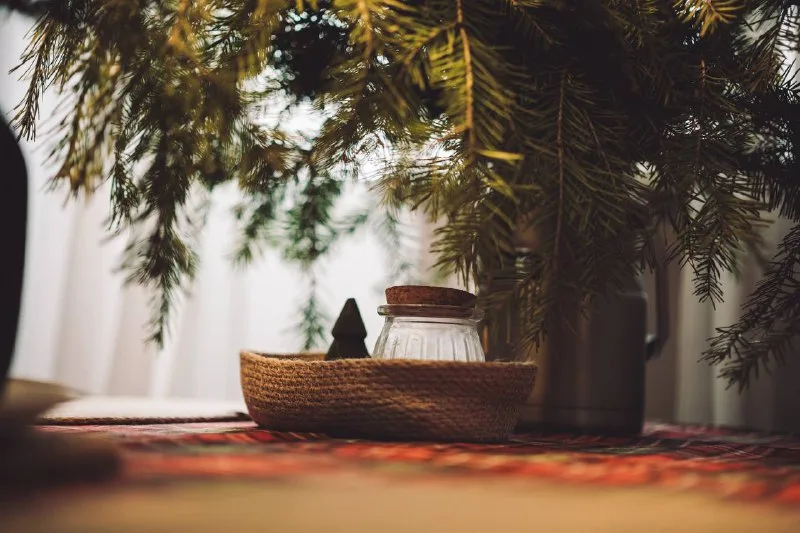 Этот Новый год 🎄и я 😳😄 Но в окружении любимок, благодаря которым праздник есть и имеет смысл 💚💚💚