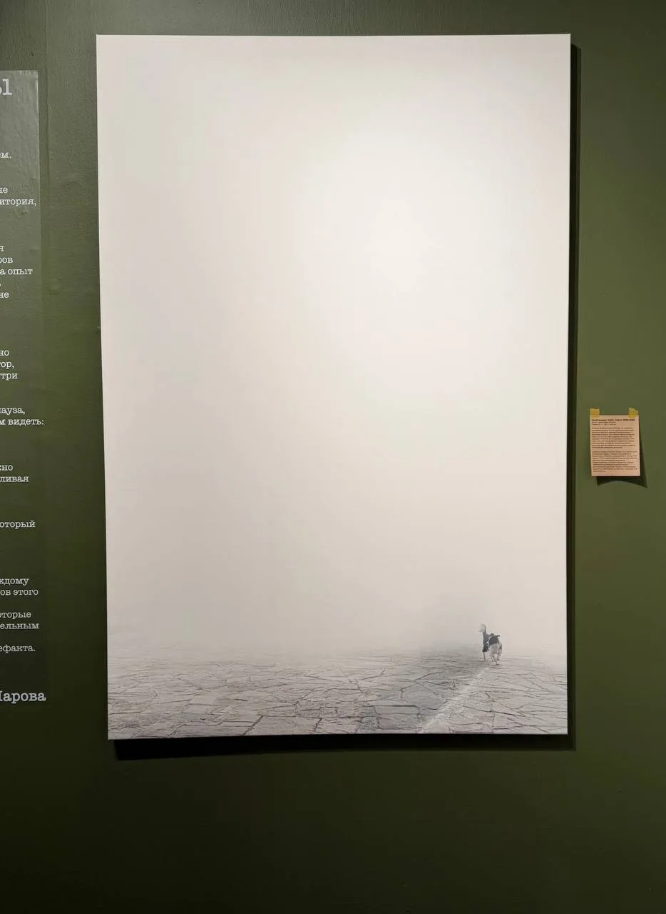 Вчера случился экспресс-забег по выставкам: