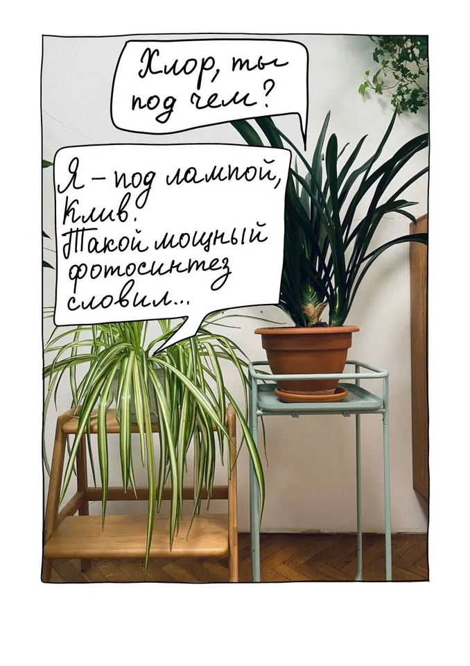 Комикс.